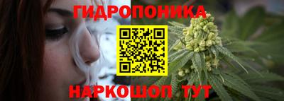 МДПВ Обь